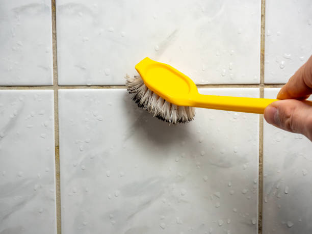 Best Mold Remediation Services  in Larkfield Wikiup, CA
