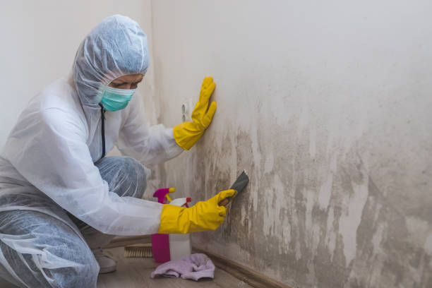 Best Crawl Space Mold Removal  in Larkfield Wikiup, CA