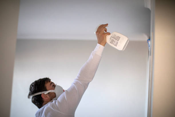  Larkfield Wikiup, CA Mold Removal Pros