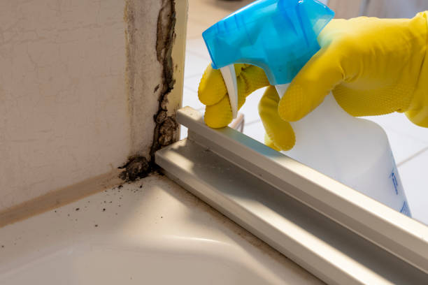 Best Emergency Mold Removal  in Larkfield Wikiup, CA