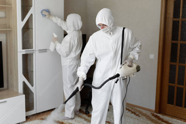 Best Mold Damage Repair  in Larkfield Wikiup, CA