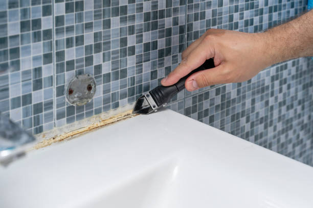Best Mold Removal Specialists  in Larkfield Wikiup, CA