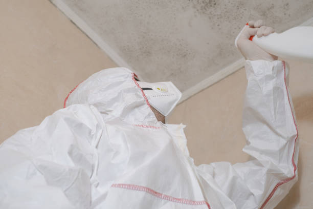 Best Local Mold Removal Service  in Larkfield Wikiup, CA