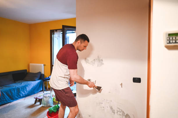 Best Mold Cleaning Services  in Larkfield Wikiup, CA