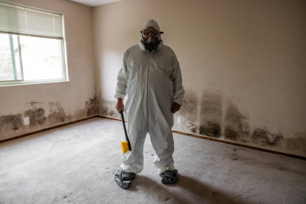 Trusted Larkfield Wikiup, CA Mold Removal Experts